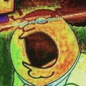 Meet your Posher, Owen